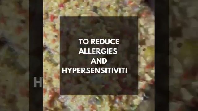 Embrace Healthy Feed Fresh