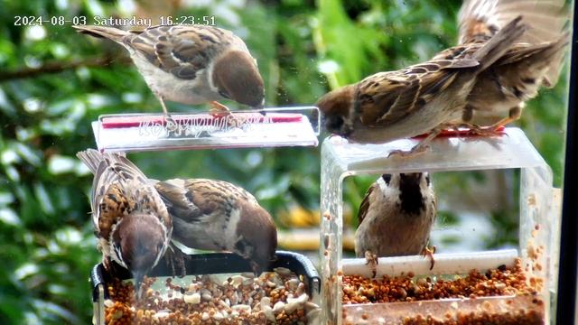 3e6bc58d5a9894dc514e8b614a519320