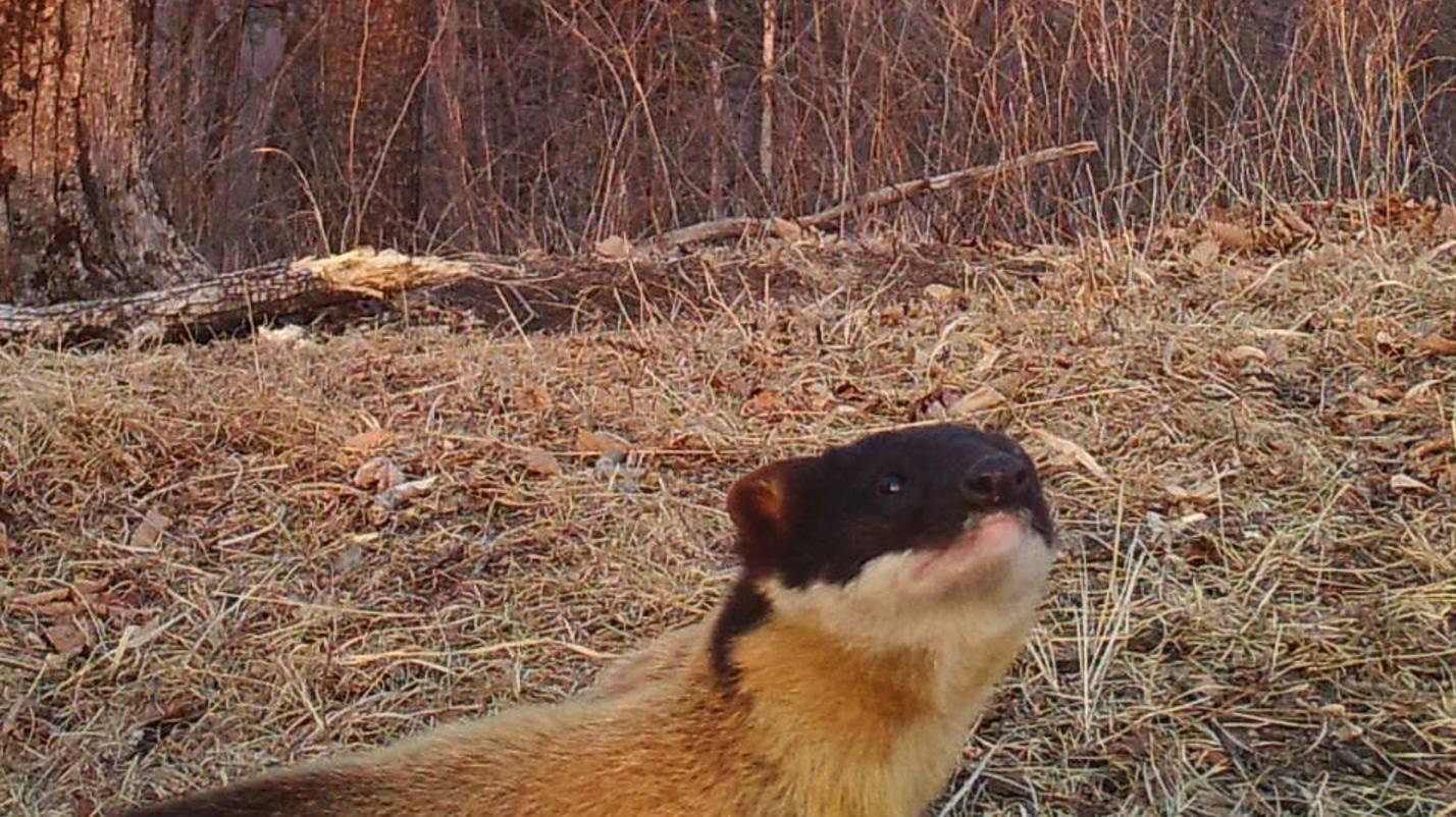 B5f8ff4086c64cb6bd770bf8701b327c