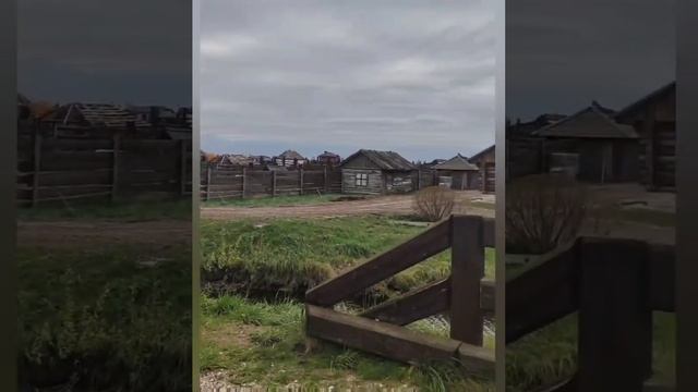 Виртуальная экскурсия в зооландшафтный парк Беларуси 