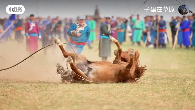 Ffedab4993f82ce08a597d061561081b