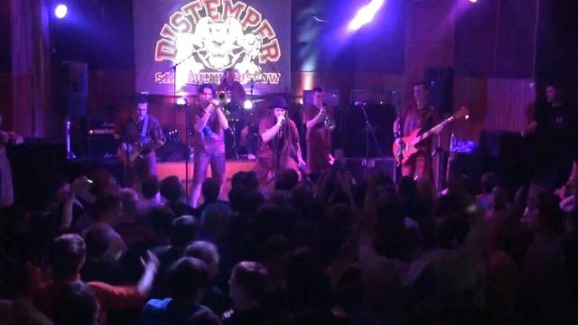 DISTEMPER - Смести приоритеты