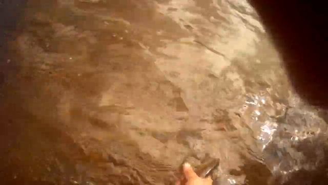 Еще один пример