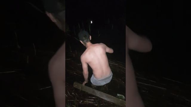 Вот что бывает когда берёшь один светлячок
