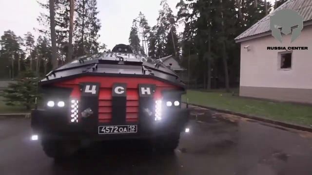 Фалькатус/ Falcatus