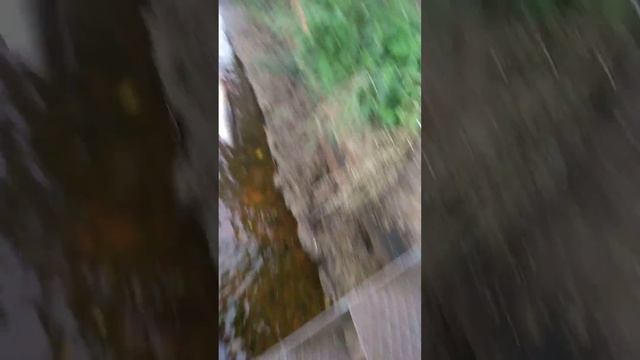 Живая рыбалка