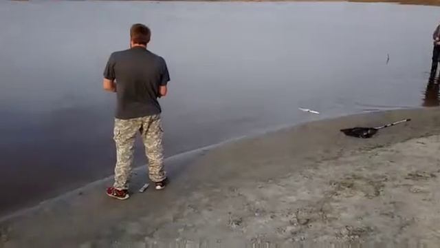 Рыбалка на спиннинг