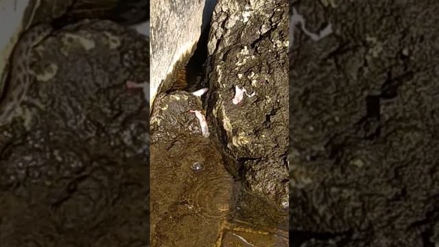 Рыбалка 2023. Бешенный клев.