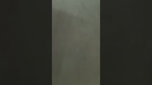 ГУЛЯЮ и ПОКУПАЮ продукты в METRO! @metroshop905