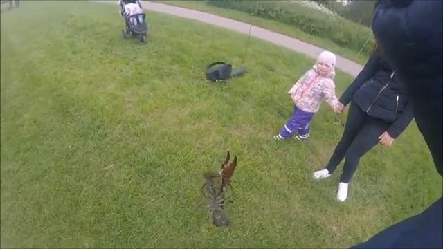 Рак на блесну