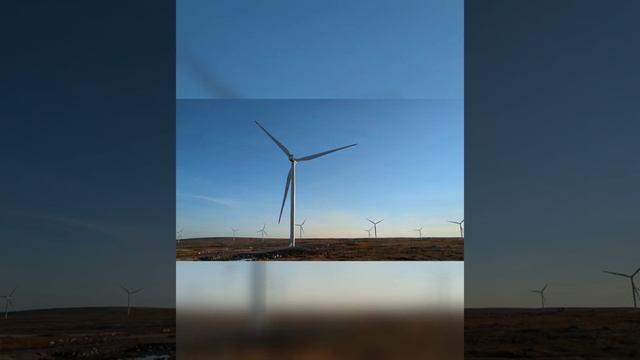 781a995960e978bd0e573002e0dbcfc5