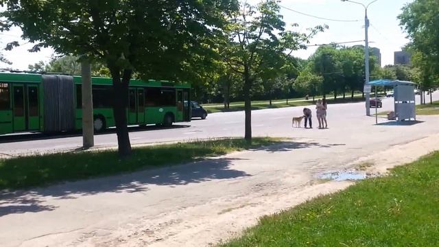 20150530 124921 весна, парк Курасовщина, Минск, Беларусь