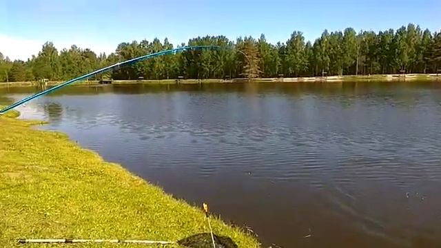 Рыбалка на карпа на Элитном!