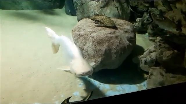 2da09c046daa6bd7fc358d6a35791ab8