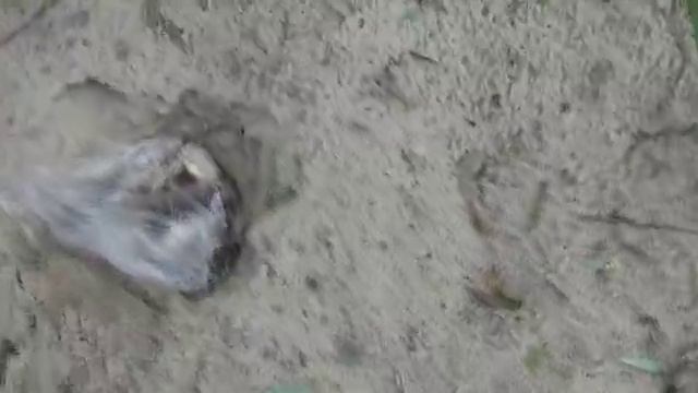 рыбалка, отдых на рыбалке