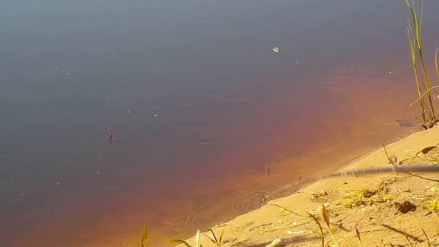 РЫБАЛКА , ВАСЯ ПОПОВ,КИНО ВАСЬ 4 ИЮНЯ 2021 ГОД !