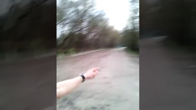 Куда рвануть на пикник Киев Дикая природа .