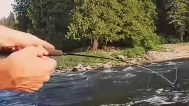 Рыбалка с мухами недалеко от моего дома)) Рыба сойдет))
