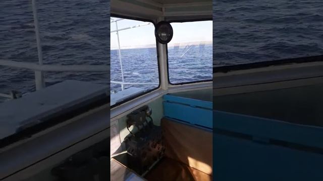 Df96b1a60bc71709906ea6acd11db607