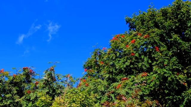 Красная Поляна