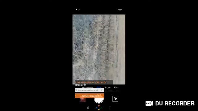 идём сматреть гусей на поле