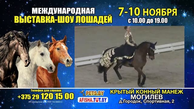Vistavka Loshadi Mogilev 7 10 Nov 19