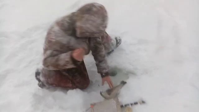 Багор на ВИПЕ ОБЯЗАТЕЛЬНО!