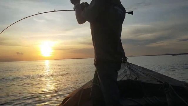 Strike Diamond Travelly Dg Longor Jig