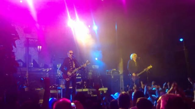 Пикник Live Music Hall - Королевство кривых