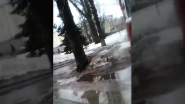 Около музея.