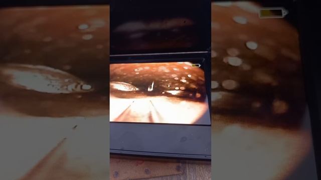 B07cbc98b55390dea0e9cd65231418c4