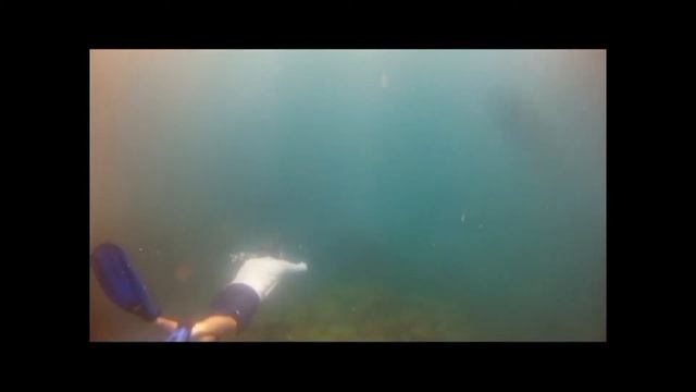 The Great Blue Water Hunter