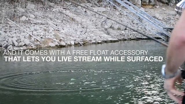 3898c56c89fac0579ed8c6786cb94a31