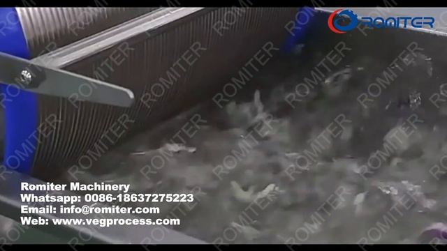 Автоматическая мойка свежих овощей, резка, сортировка