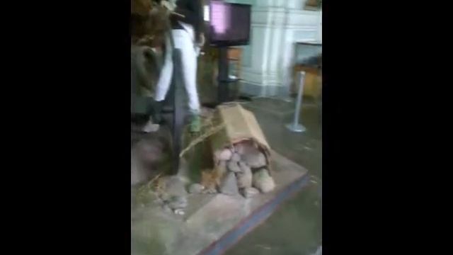 Идем в музей!