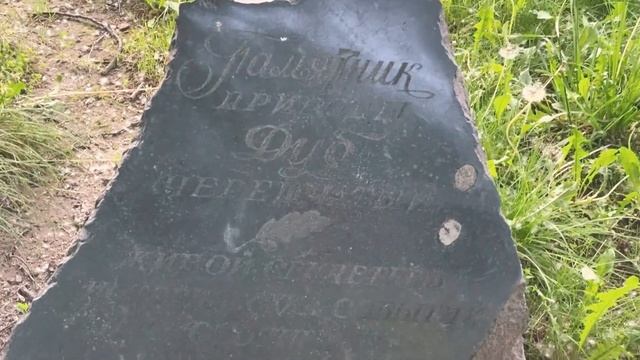 Парк Фили,набережная.Поросенок на прогулке.Прошли 10 км.Влог.