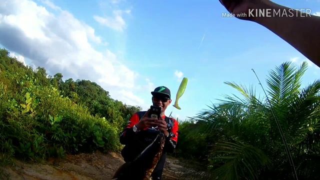 Bujuk Hunt ( Snakehead)