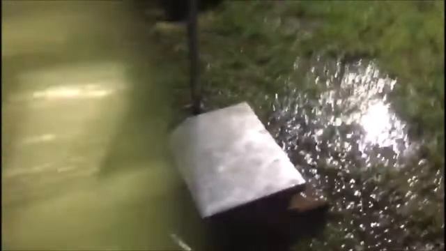 Клевое Место д. Савельево.Плановое зарыбление карпом третий сектор-2500кг,четвертый сектор-400кг.