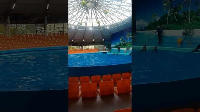 10 июня 2023 г.