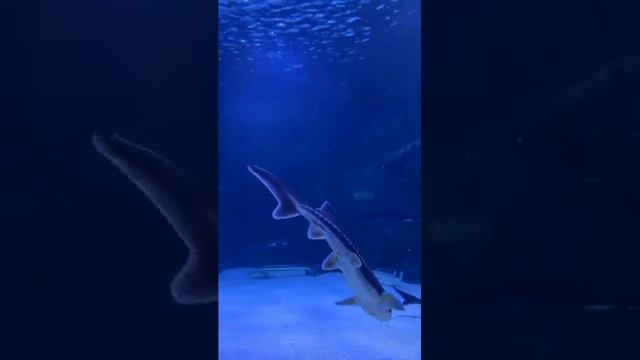 2b062f6828fbf1134f744e25ffdebe74