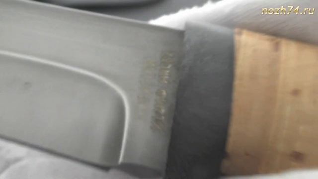 Нож Койот (Береста, Х12МФ) - Nozh74.ru