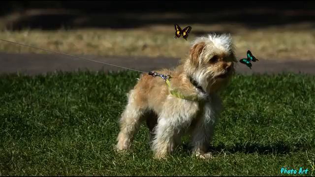 Слушать классную песню с тв онлайн
