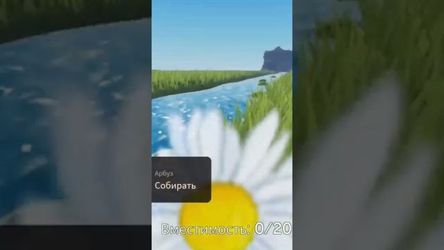 Арбузы плывут по реке но в роблокс!!!!#мемы #memes #подпишисьпж #рекомендации #roblox #роблокс