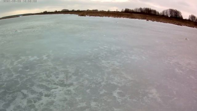 Рыбалочка в оттепель