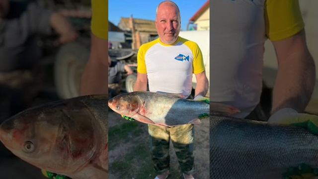 Удивительное рыболовное путешествие Евгения Новикова всместе с комнпанией ВКУССОК     Www.vkuss.com