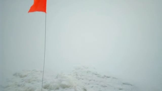 Щука в заливе 2019.03.04 14:38
