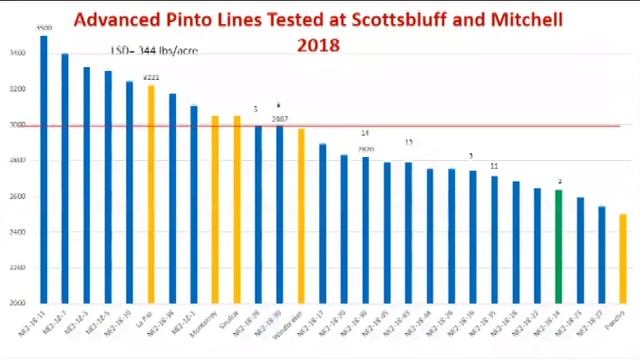 Carlos Urrea University Of Nebraska On Variety Development For Dry Edible Beans
