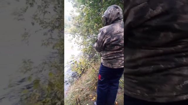 осенняя щука