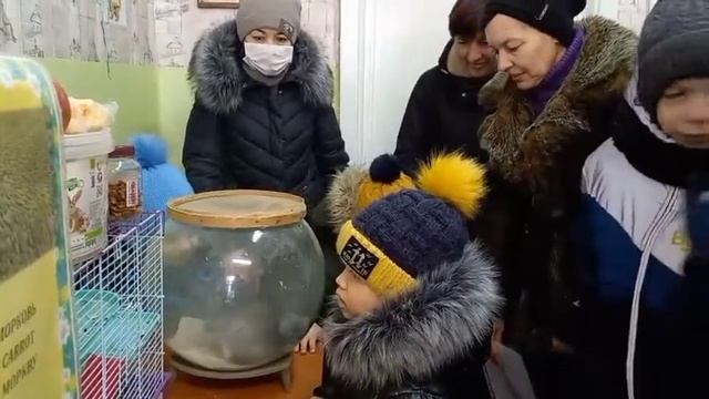 Экскурсия в ГУО «Центр туризма, краеведения и экскурсий г.Бобруйска»