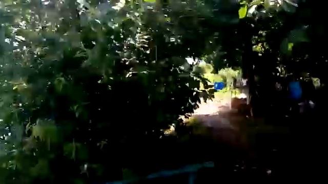 Семейный отдых!